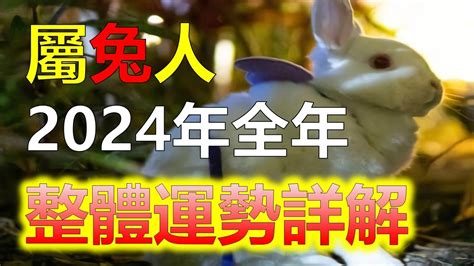 2024生肖運勢兔|2024年生肖兔的运势及运程